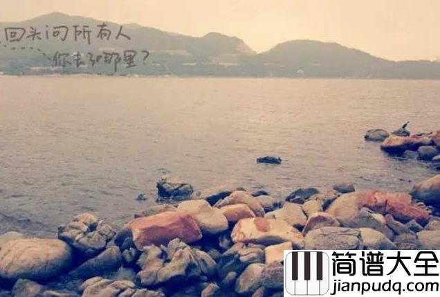 The_Truth_That_You_Leave简谱__Pianoboy__青涩的季节里总绽放着悲伤与快乐