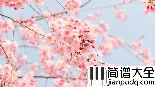 樱花树下的约定简谱_MC魏小然_不要忘记那樱花树下的约定