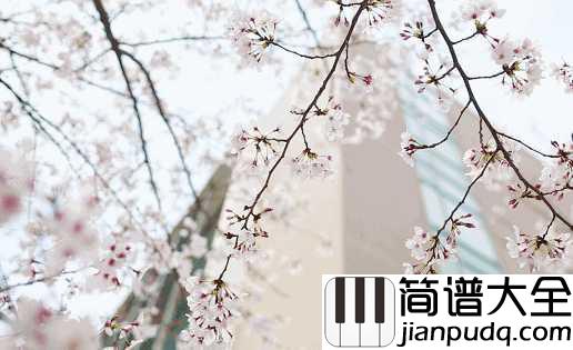 樱花树下的约定简谱_MC魏小然_不要忘记那樱花树下的约定