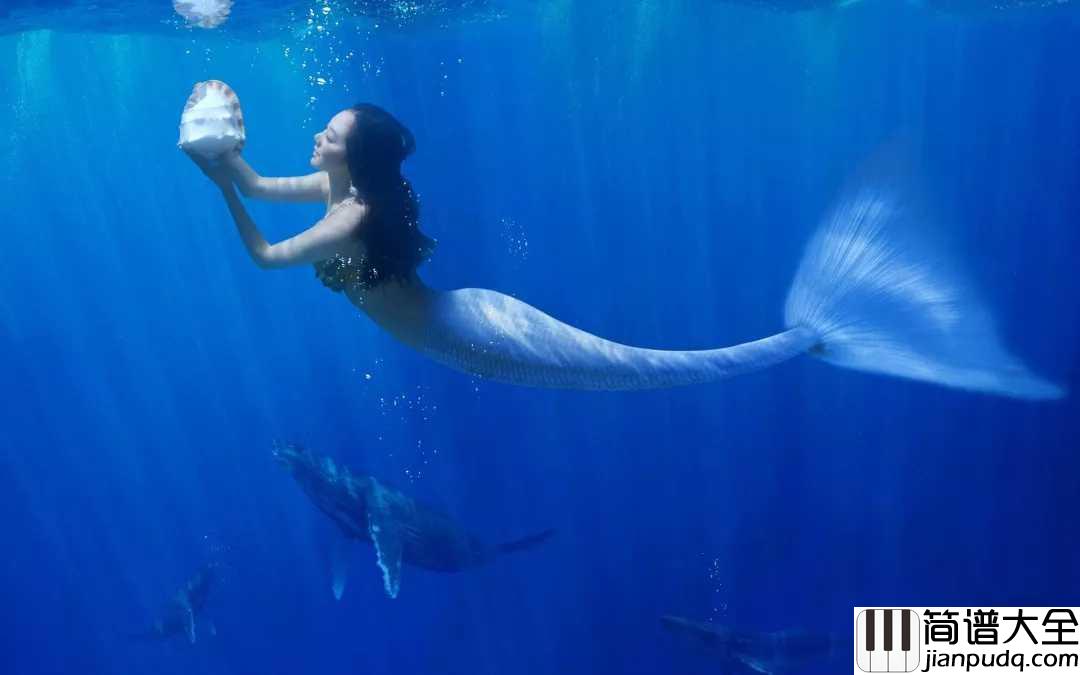 人鱼的眼泪简谱_EXO_用我的爱守护你只愿永世不分开