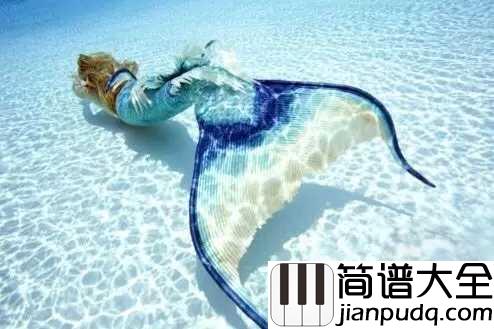 人鱼的眼泪简谱_EXO_用我的爱守护你只愿永世不分开