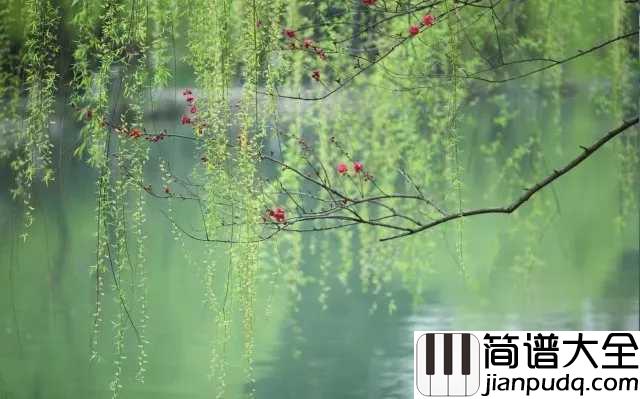 杨柳简谱_林海__半是情丝，半是愁丝，织就相思