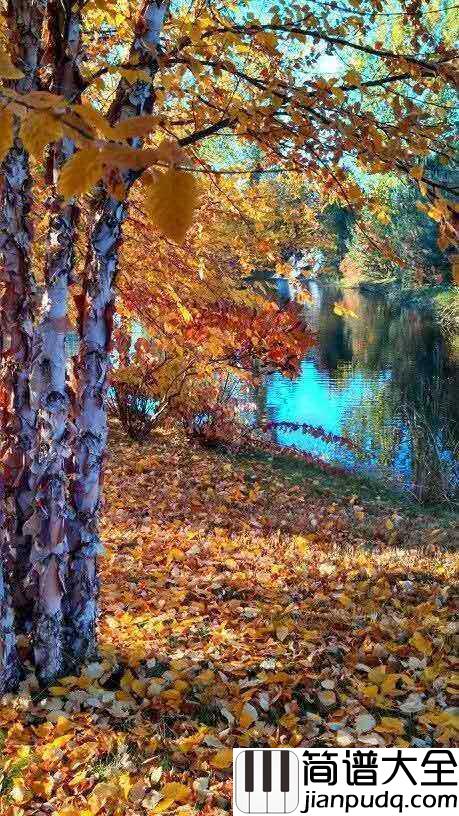 几度枫红简谱_林海_尘世间几度枫红，呼唤着几番月白