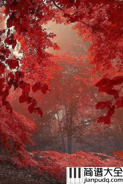 几度枫红简谱_林海_尘世间几度枫红，呼唤着几番月白