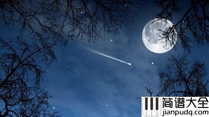 晨星简谱_林海__轻柔细腻地抚触心灵，娓娓道来...