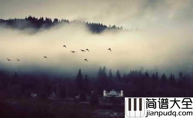 寂寞沙洲冷简谱_周传雄_寂寞沙洲我该思念谁