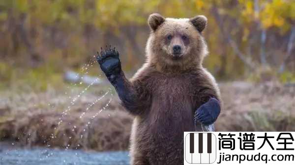 Just_Blue简谱___Space____动物世界主题曲,激昂震撼_穿透心灵!