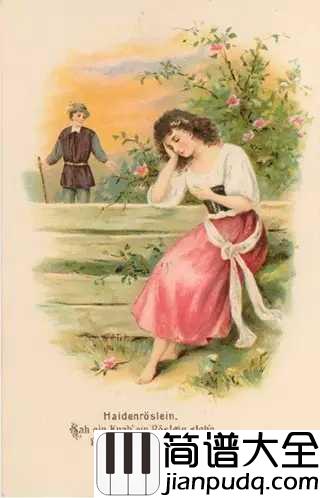 野玫瑰简谱____予人玫瑰,手有余香——舒伯特和他的野玫瑰