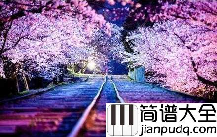 樱花樱花想见你简谱_Pop_遇见你真好!