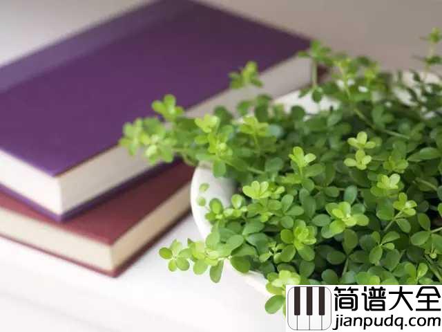 每天爱你多一些简谱_张学友_我最爱你与我这生一起