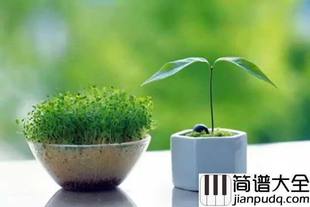 慢慢简谱_张学友_慢慢慢慢没有感觉__慢慢慢慢我被忽略