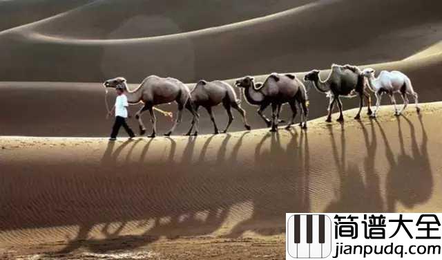 梦驼铃简谱__费玉清____莫把心揉碎