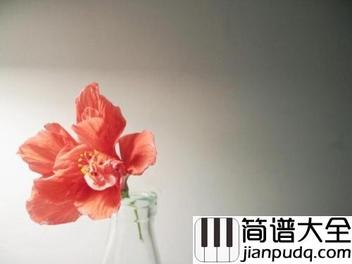 白山茶简谱_阿泱_你好好照顾她，今后我四海为家