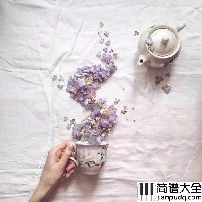 盛夏的果实简谱_莫文蔚__回忆里爱情的香气