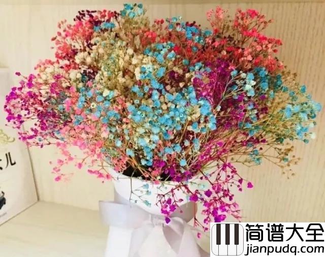 染简谱_张碧晨_变身自由画家_为世界着色