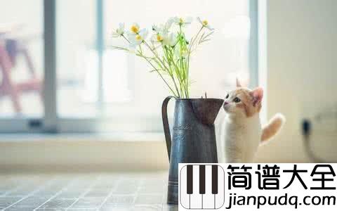 你给我听好简谱_陈奕迅_你给我听好，想哭就要笑