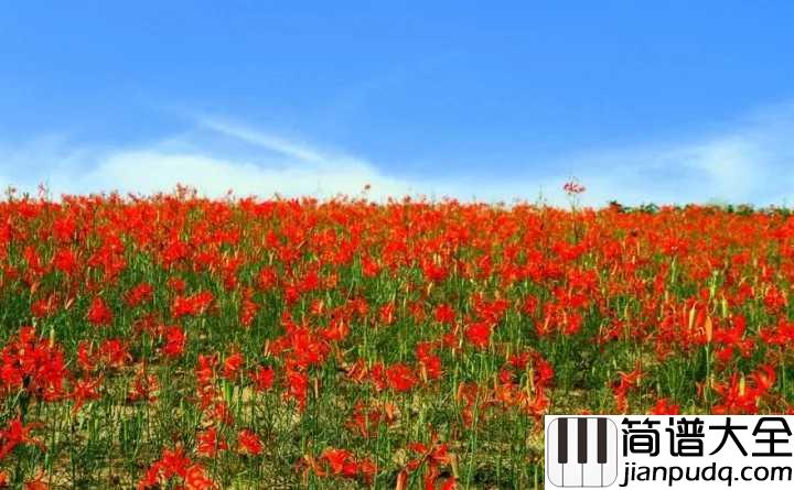 山丹丹开花红艳艳简谱_阿宝_正宗陕北民歌的味道