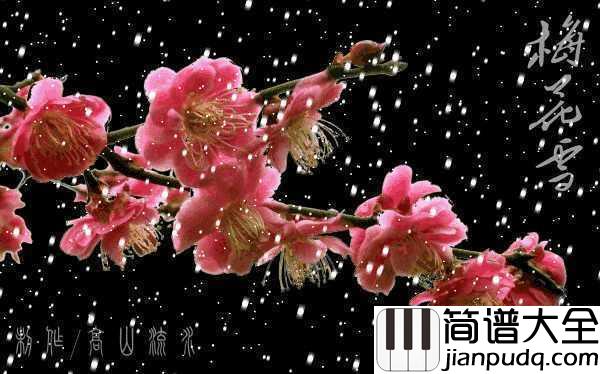 红梅赞简谱__董文华__永生难忘的红色经典歌曲