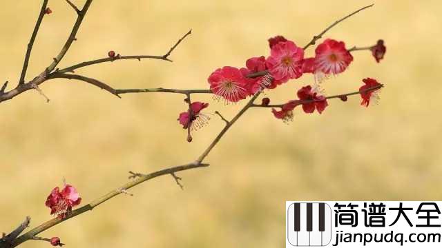 红梅赞简谱__董文华__永生难忘的红色经典歌曲