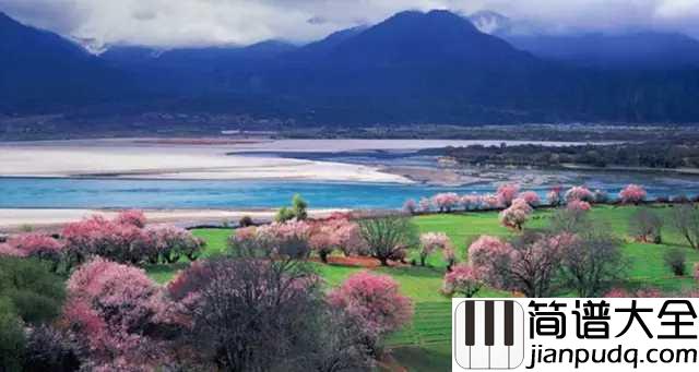 在那桃花盛开的地方简谱_蒋大为_蒋大为桃花三部曲