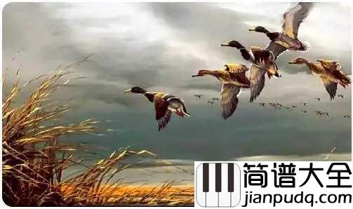 雁南飞简谱__单秀荣___秋已至，望珍重