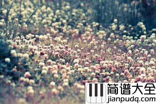 那些花儿简谱_朴树_那些人那些歌还有那些青春