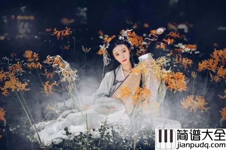 琵琶语简谱_柔情似水长相守，情愫如弦牵人意