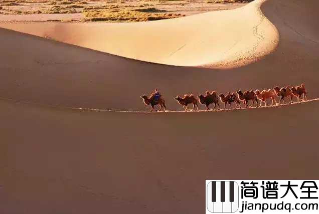 驼铃简谱_任重道远多艰险_骆驼精神伴君行