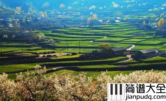 沂蒙山小调简谱_—小山村里唱出的中国优秀民歌