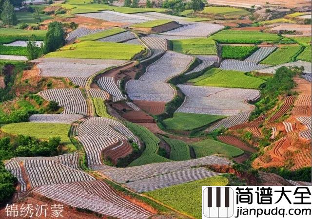 沂蒙山小调简谱_—小山村里唱出的中国优秀民歌