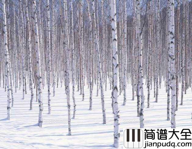 北国之春简谱__蒋大为___原来他才是原唱