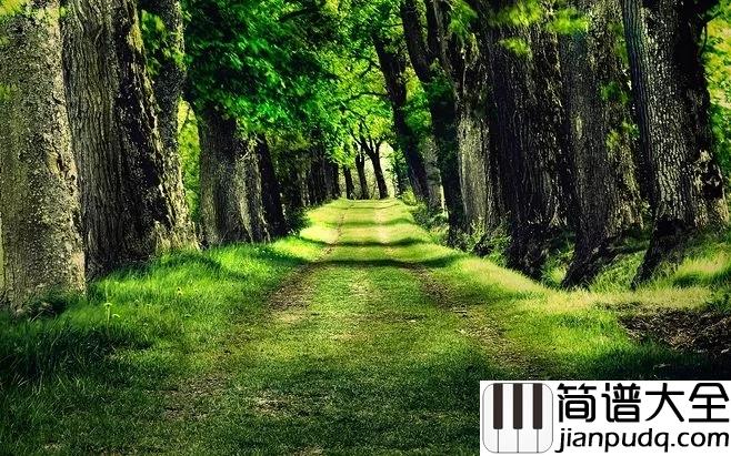 风居住的街道简谱_一脉私语倾诉地久天长