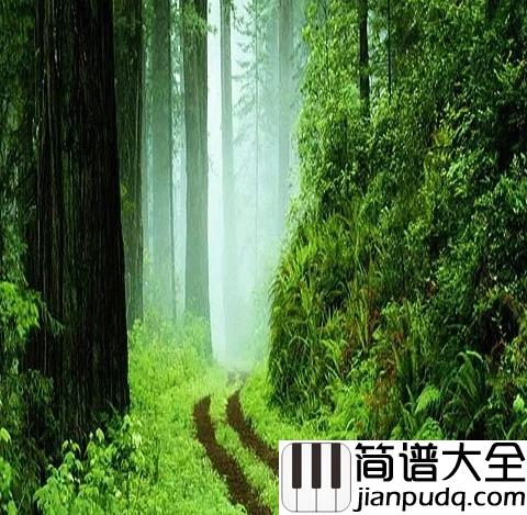 风居住的街道简谱_一脉私语倾诉地久天长