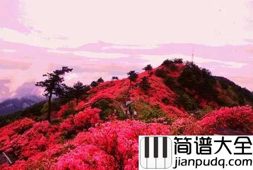 映山红简谱_宋祖英_送给那些夜半三更盼天明的人啊