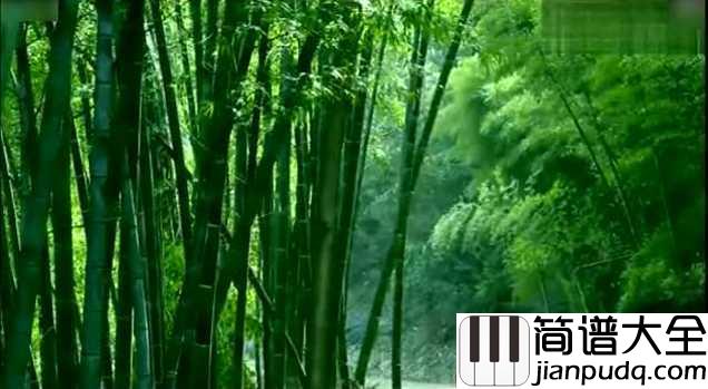 月光下的凤尾竹简谱_傣族民歌节奏舒缓，优美动听