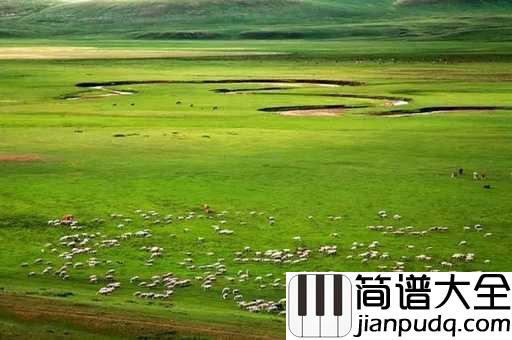 天下最美的草原简谱_哈桑_梦开始的地方