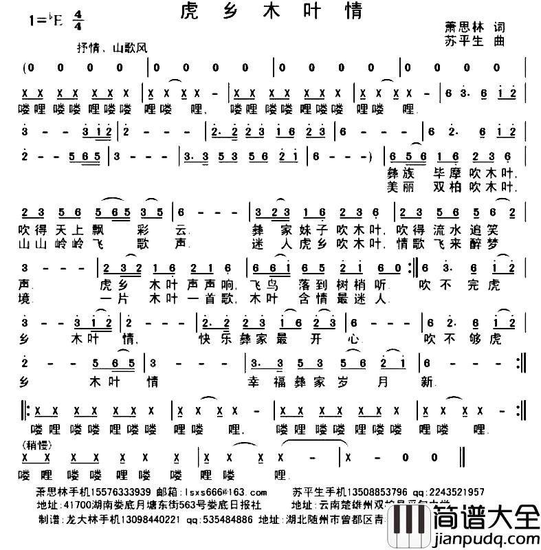 虎乡木叶情_简谱_萧思林词/苏平生曲