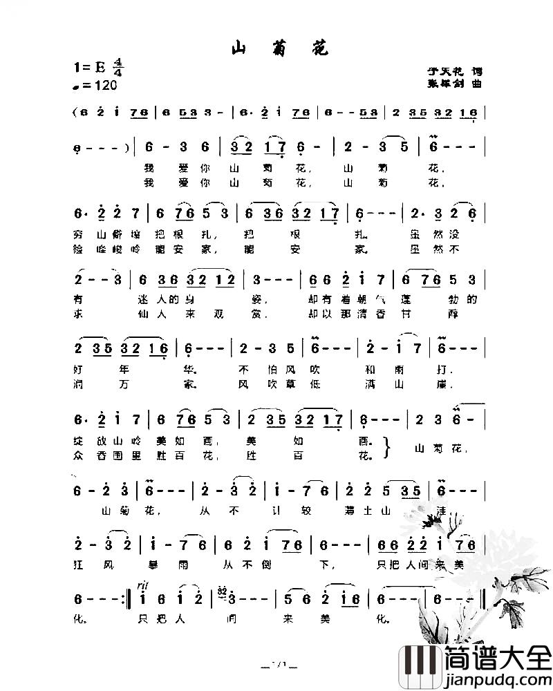 山菊花简谱_于天花词_张犀剑曲