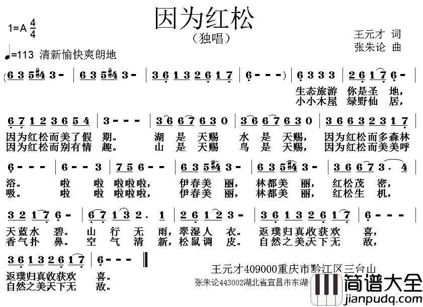 因为红松_简谱_王元才词/张朱论曲