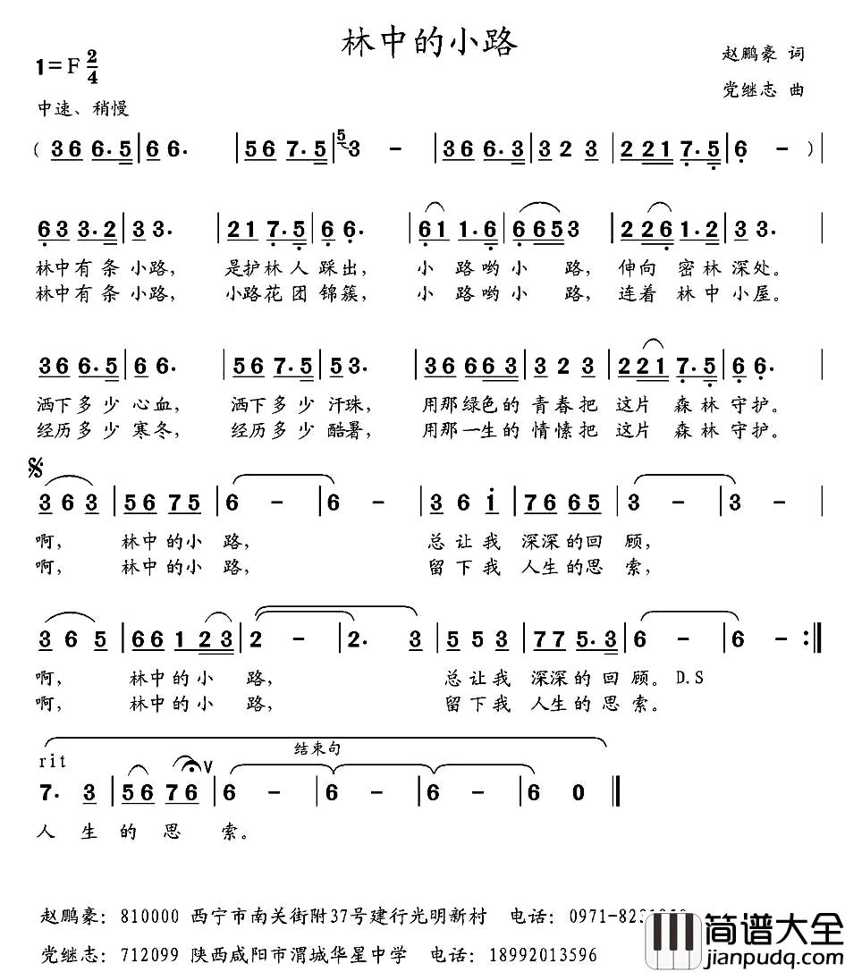 林中的小路_简谱_赵鹏豪词_党继志曲