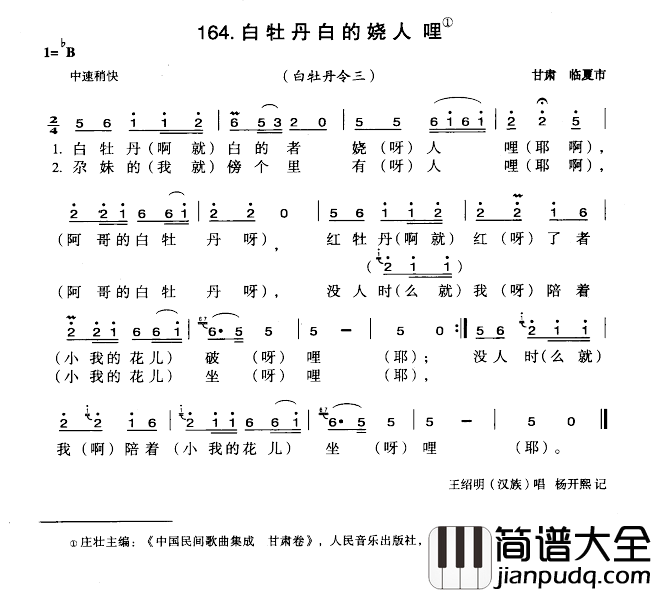 白牡丹白的娆人哩简谱_
