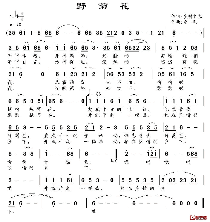 野菊花简谱_乡村之恋词_南风曲