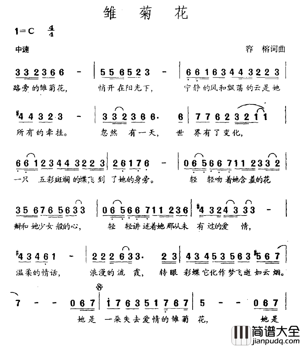 雏菊花简谱_容榕词_容榕曲