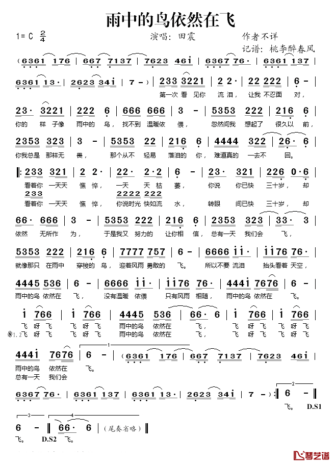 雨中的鸟依然在飞简谱(歌词)_田震演唱_桃李醉春风记谱