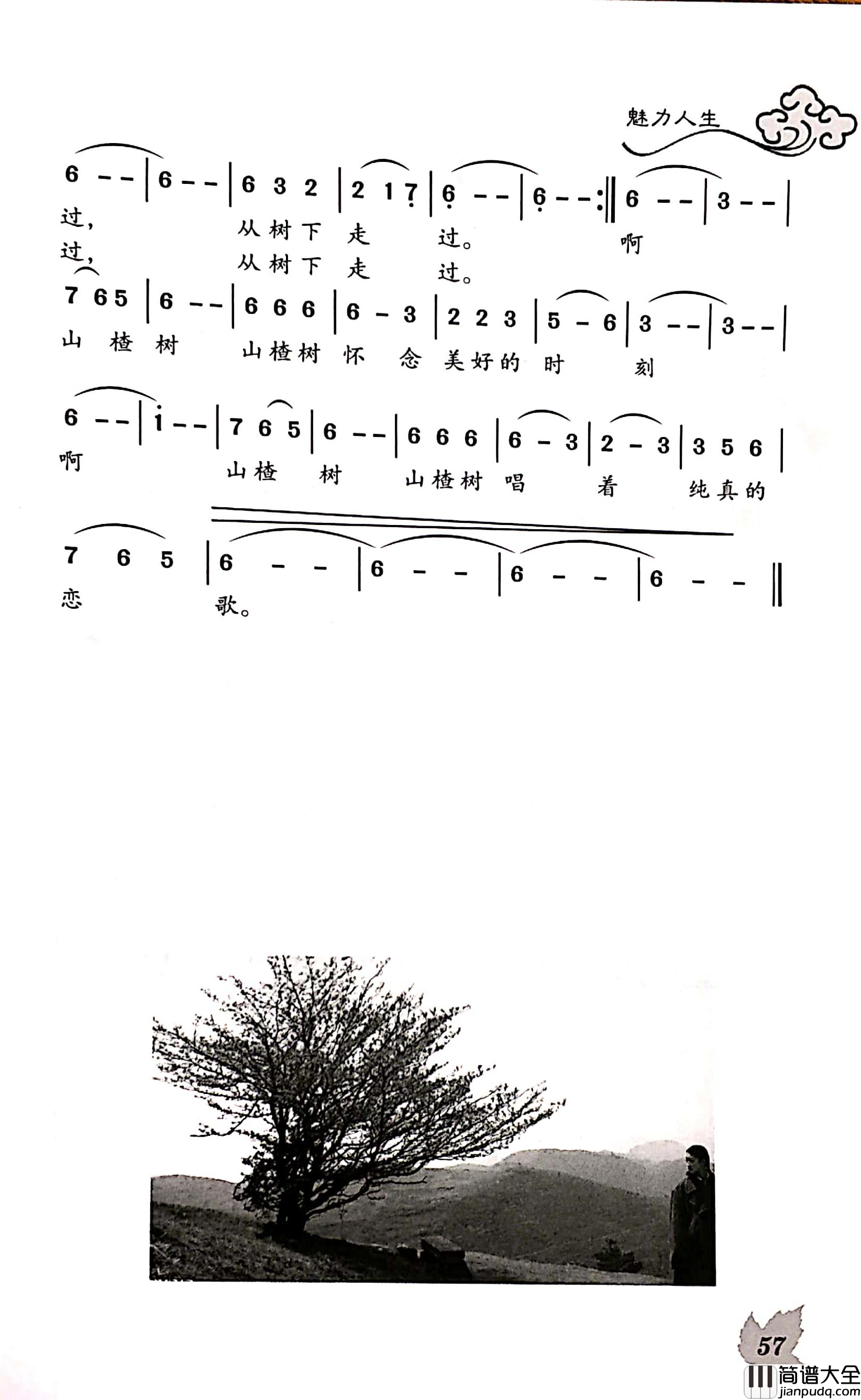 山楂树之恋简谱_郝艺英词/王焕升曲