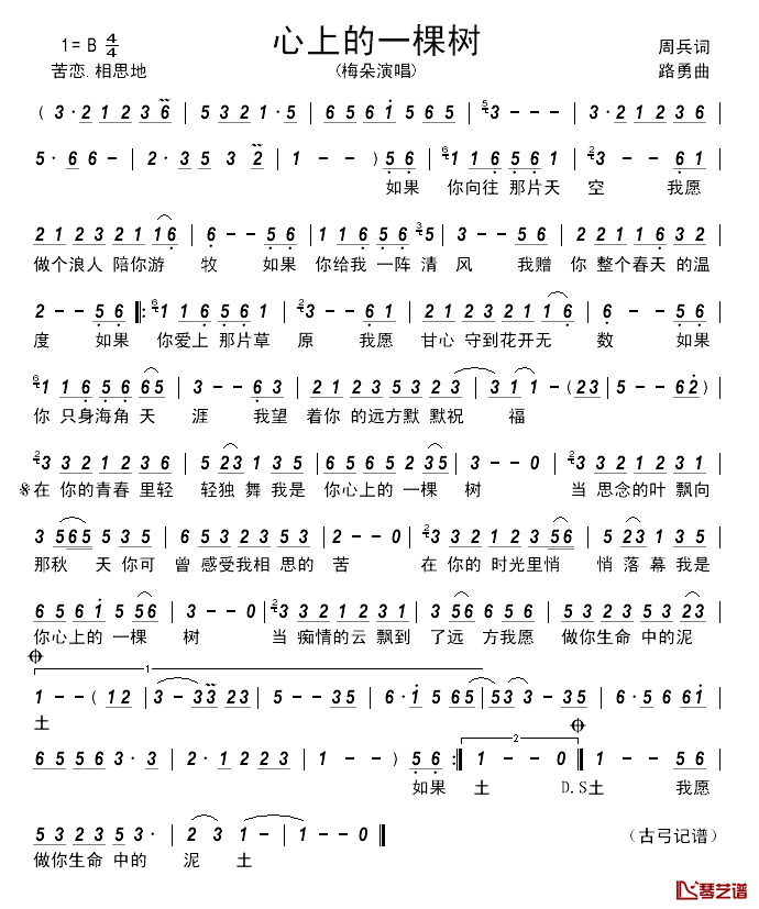 心上的一棵树__________简谱_周兵词/路勇曲梅朵_