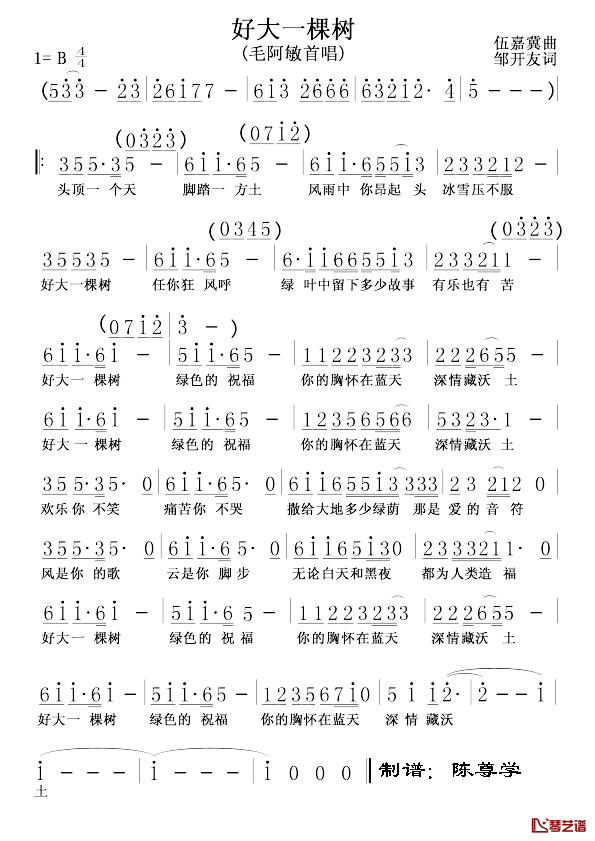 好大一棵树简谱_毛阿敏演唱