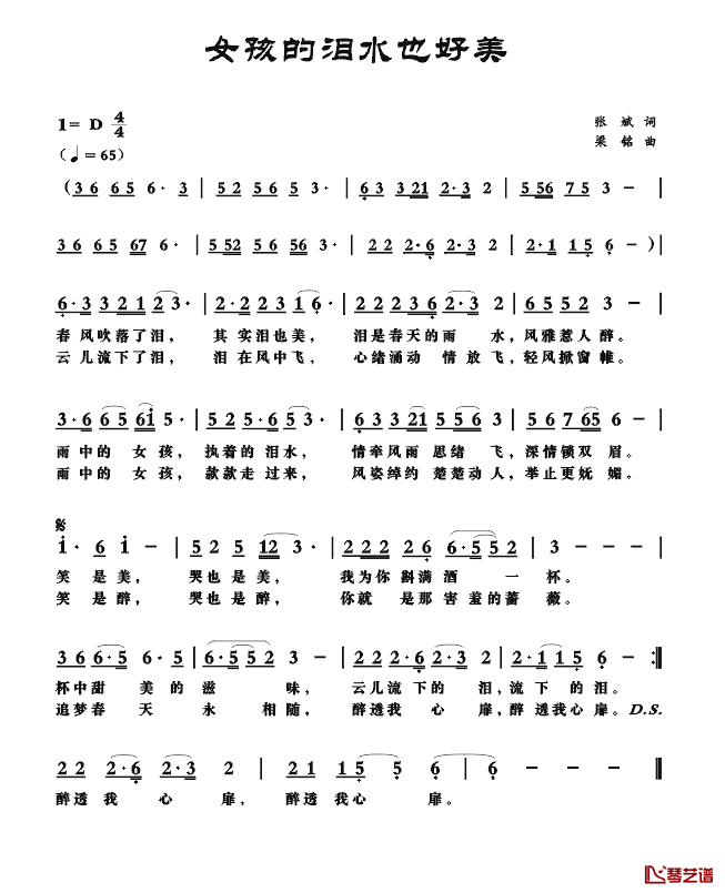 女孩的泪水也好美简谱_张斌词，梁铭曲，演唱：影儿影儿_