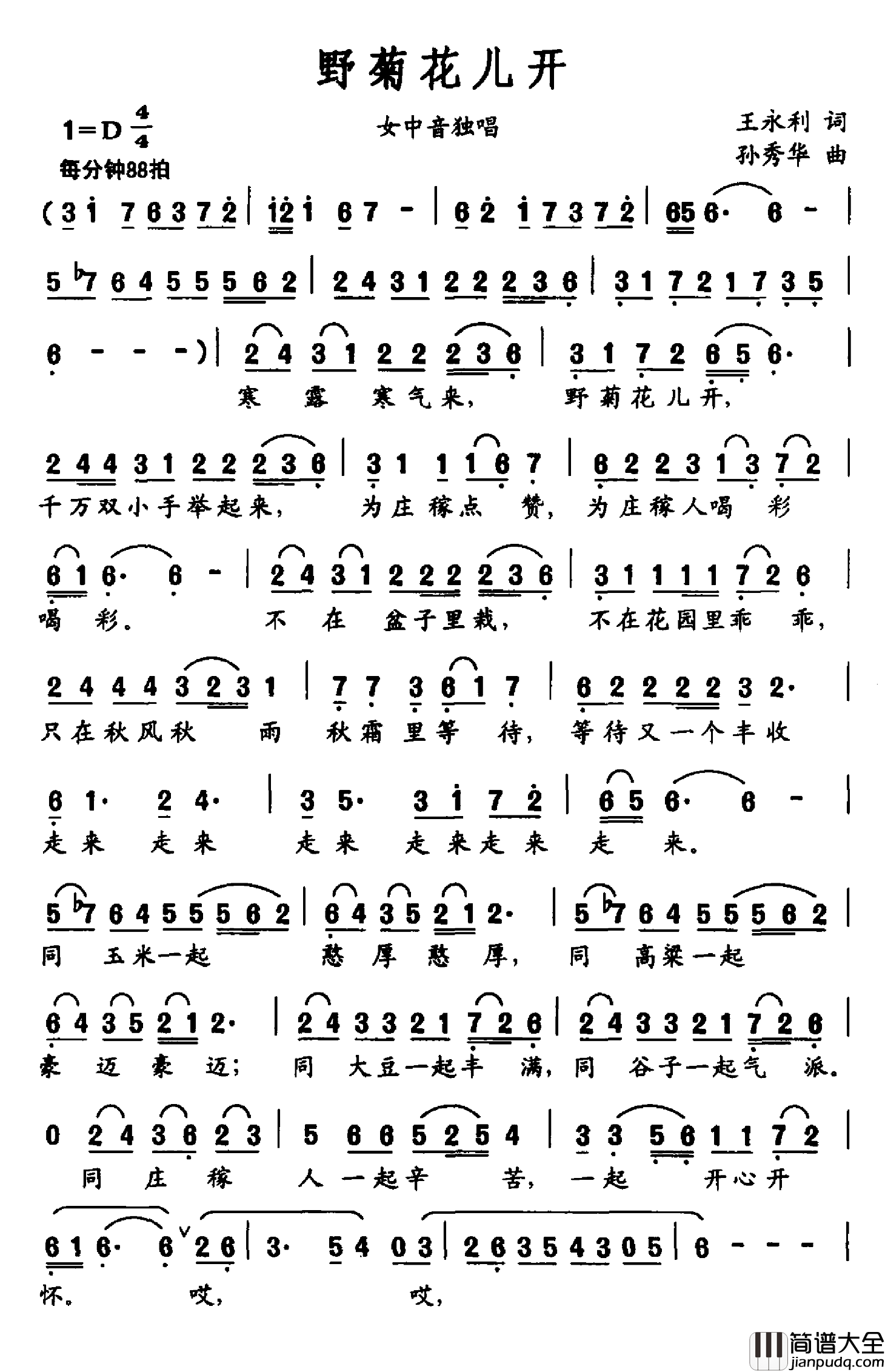 野菊花儿开简谱_王永利词/孙秀华曲