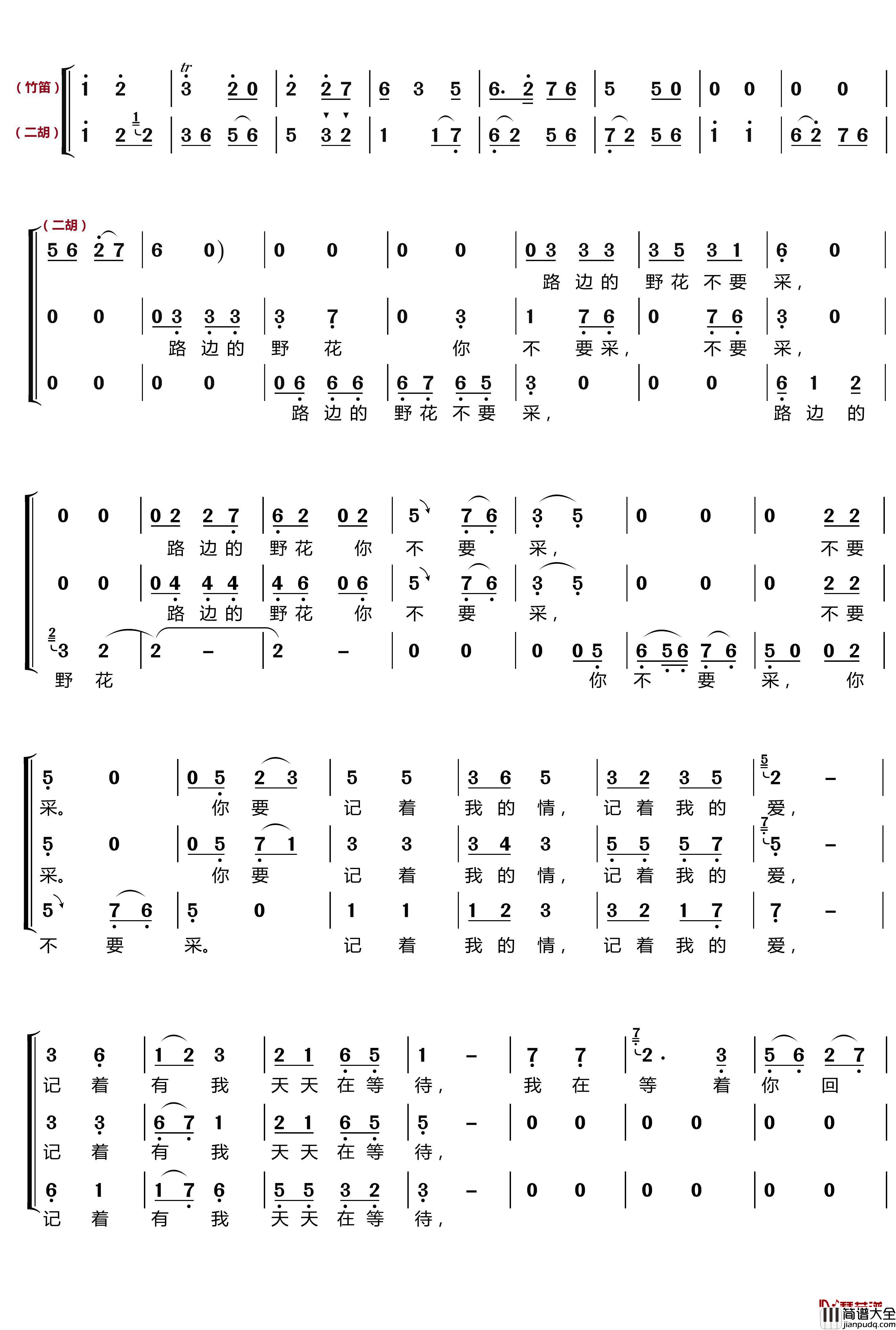 路边的野花你不要采简谱(歌词)_梦之旅组合歌曲